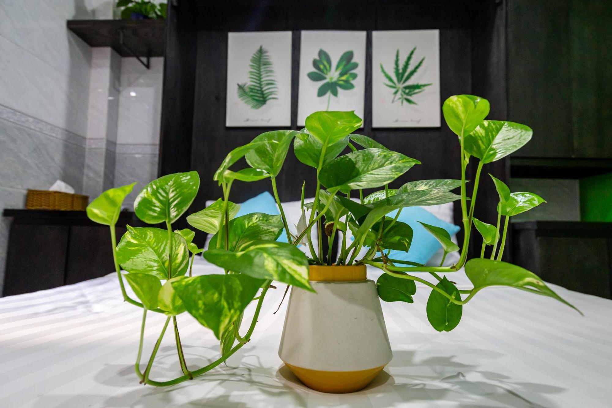 Cola'S Homestay Ho Chi Minh City Bagian luar foto