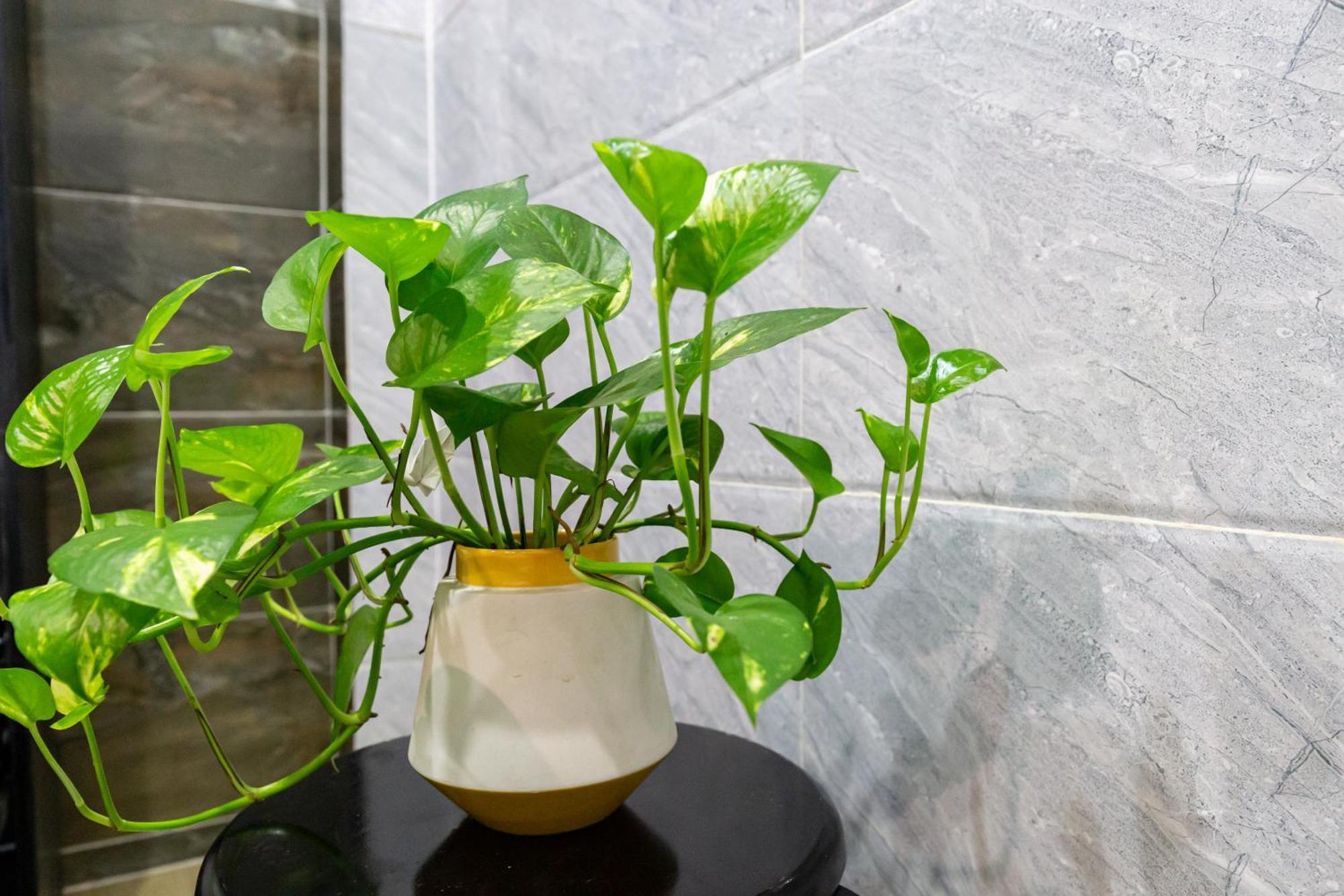 Cola'S Homestay Ho Chi Minh City Bagian luar foto